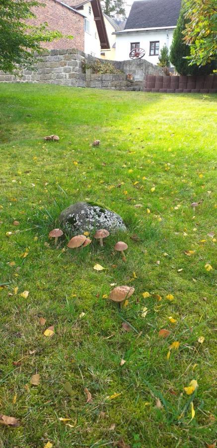 Rekreacni Dum Pohoda Jiřetín pod Jedlovou المظهر الخارجي الصورة
